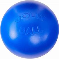 Load image into Gallery viewer, Jolly Pets Push N Play
