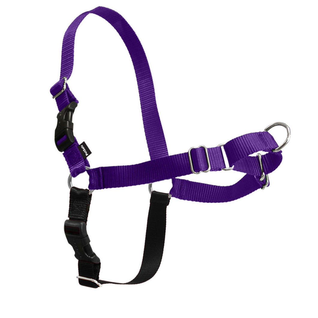 Easy Walk Classic Harness Purple