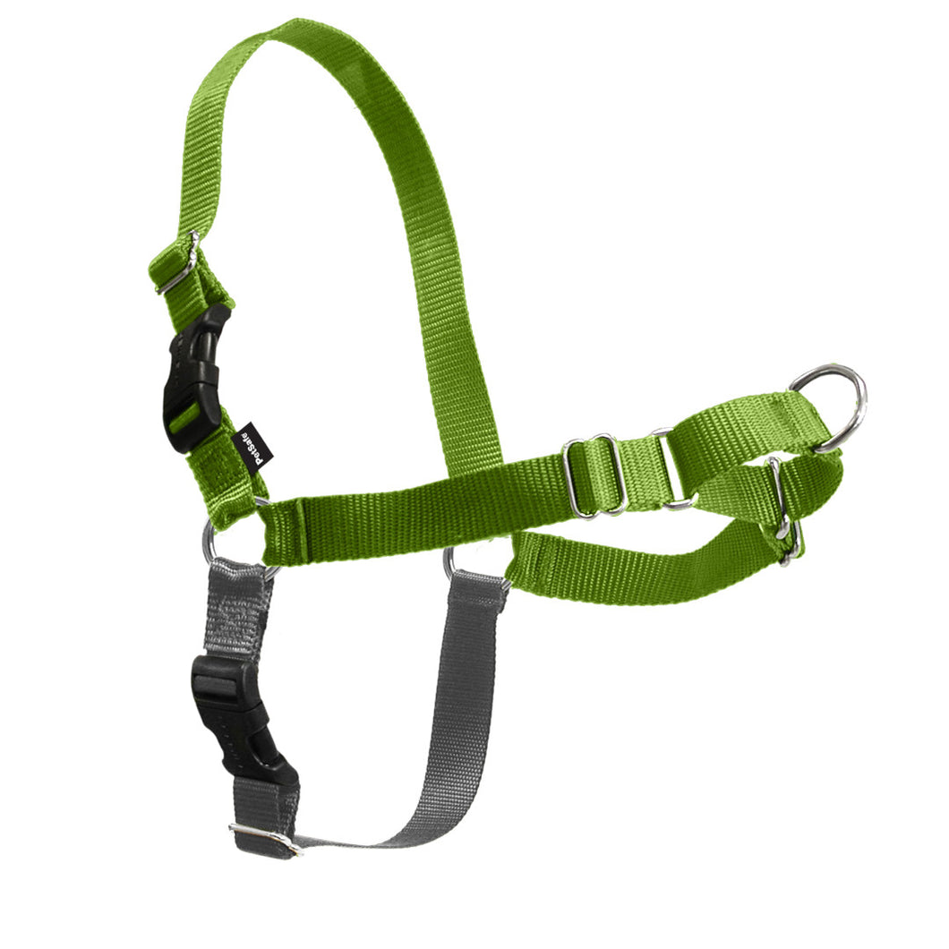 Easy Walk Classic Harness Apple grey