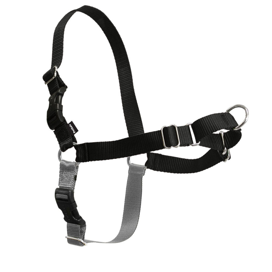 Easy Walk Classic Harness Black Silver