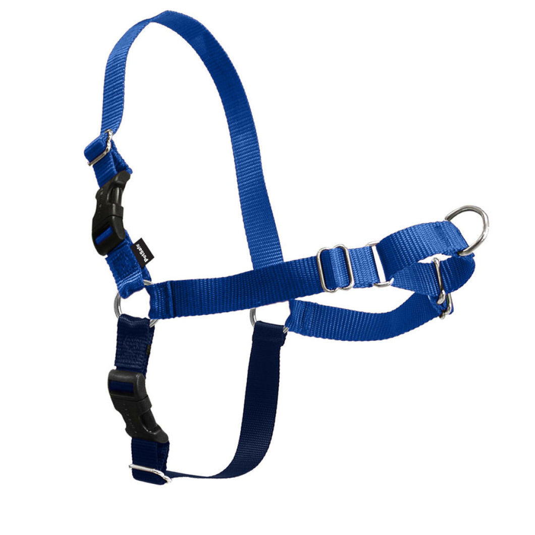 Easy Walk Classic Harness Royal