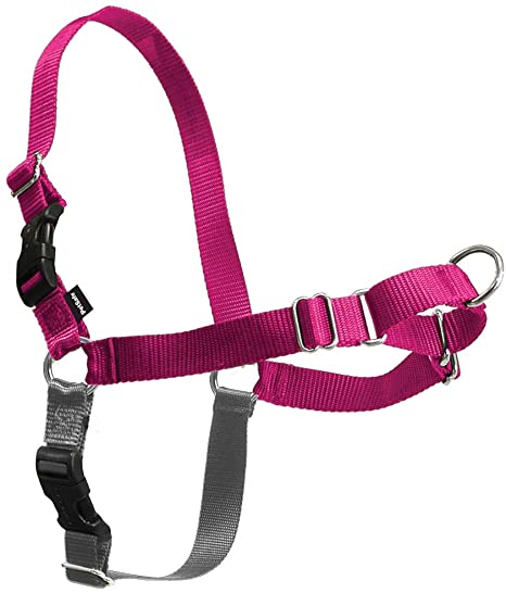 Easy Walk Classic Harness Raspberry